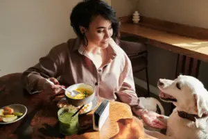 Blog - Restauranter med hund – Hvor kan hunde være med, og hvad bør du spørge om? 1