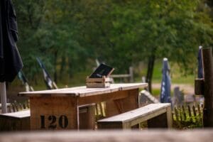 Blog - Terrassen Sophienberg Slot – Restauranten der lukkede, og de bedste alternativer i Nordsjælland 1
