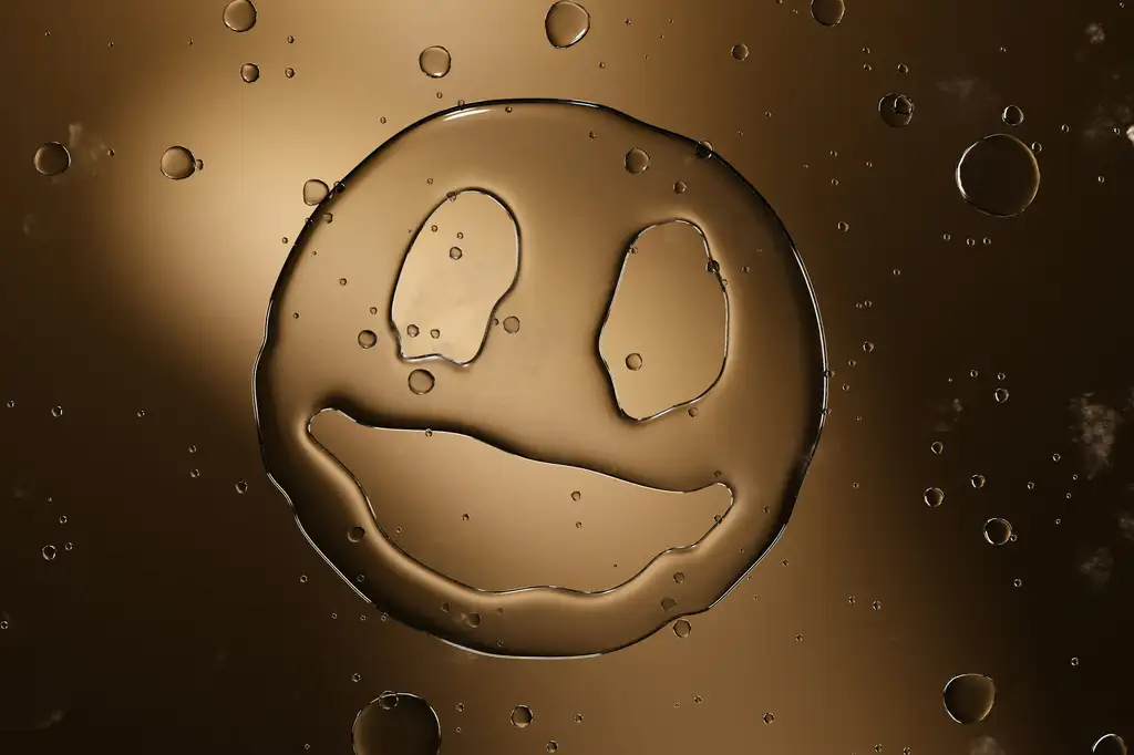 Blog - Smiley-ordningen forklaret – hvad betyder de forskellige smileys? 1