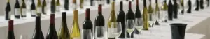 Åbne vinflasker og rækker af smagsglas på hvide dugborde til en vinmesse i en lys hal