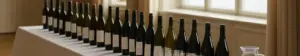 Vinflasker og smagsglas på et langbord til vinmesse i en hotelsal ved fjorden